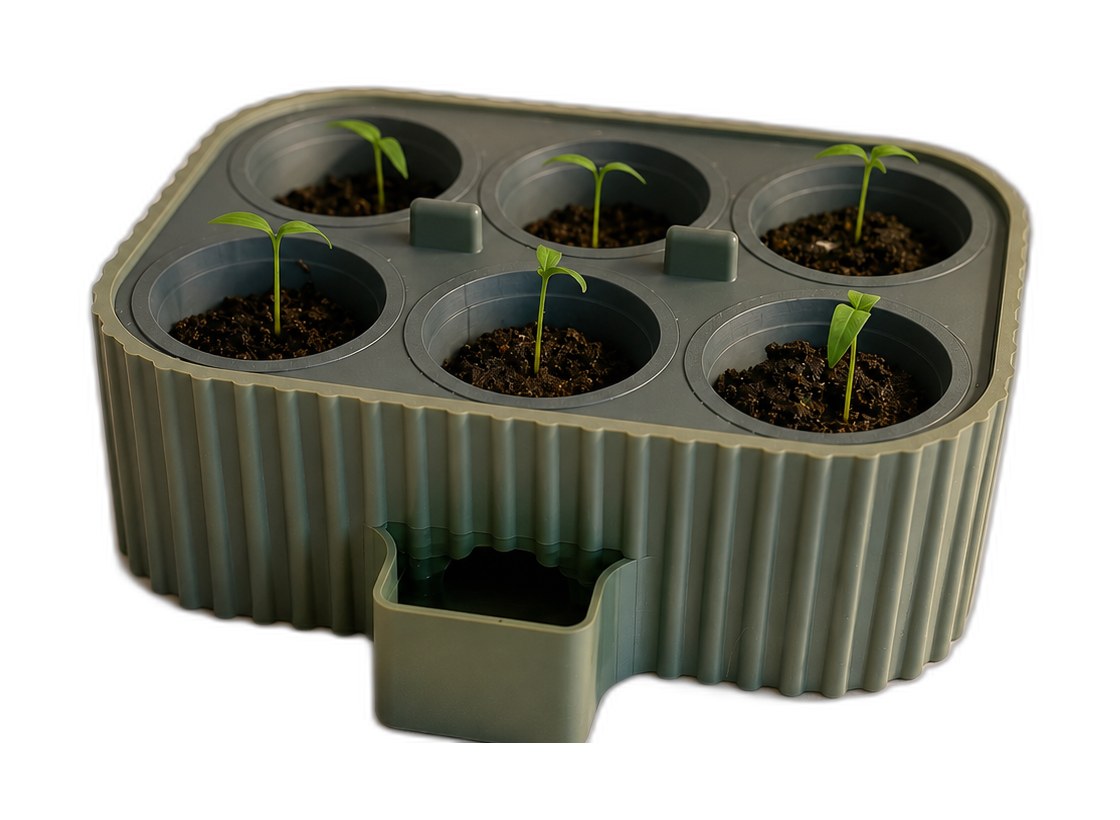 Semillero auto-riego para germinar